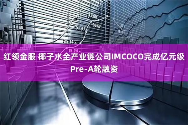 红领金服 椰子水全产业链公司IMCOCO完成亿元级Pre-A轮融资