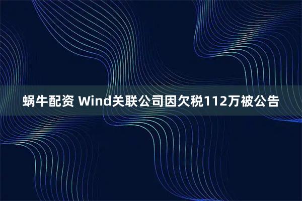 蜗牛配资 Wind关联公司因欠税112万被公告