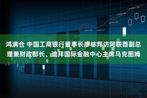 鸿满仓 中国工商银行董事长廖林拜访阿联酋副总理兼财政部长、迪拜国际金融中心主席马克图姆
