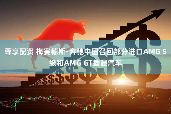 尊享配资 梅赛德斯-奔驰中国召回部分进口AMG S级和AMG GT插混汽车