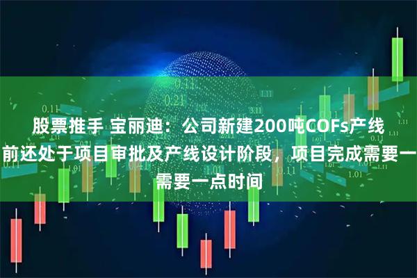 股票推手 宝丽迪：公司新建200吨COFs产线项目目前还处于项目审批及产线设计阶段，项目完成需要一点时间