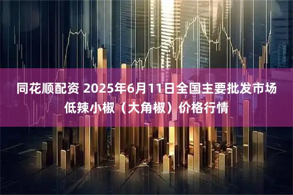 同花顺配资 2025年6月11日全国主要批发市场低辣小椒（大角椒）价格行情