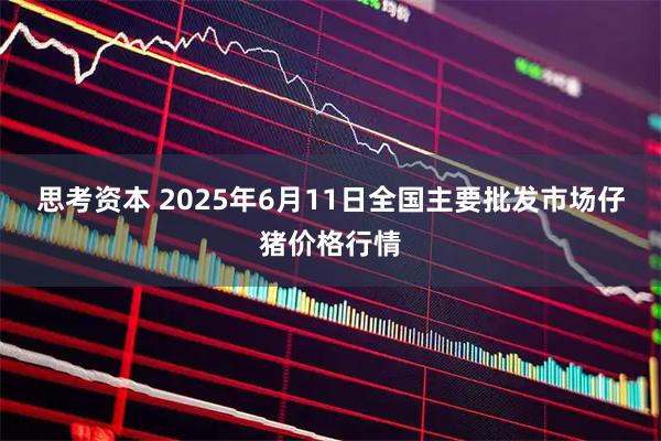 思考资本 2025年6月11日全国主要批发市场仔猪价格行情